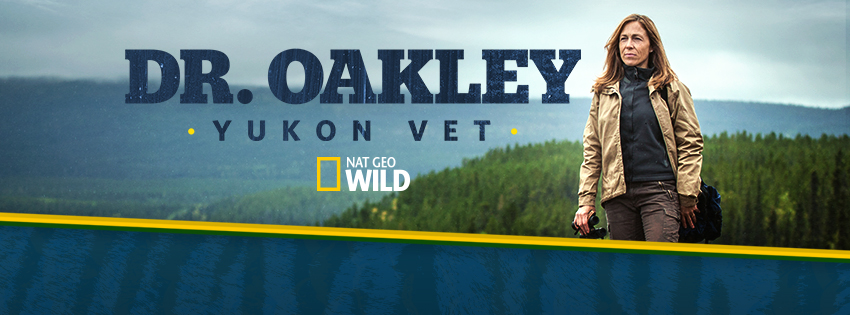 Interviews: Dr. Oakley - Yukon Vet + Difference between Lynx and House Cat  - Katzenworld
